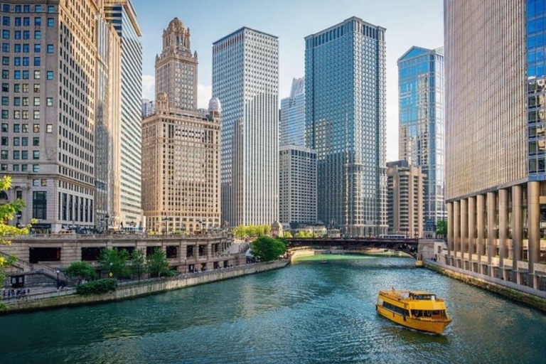 Chicago: Private custom tour with a local guide 8 Hours Walking Tour