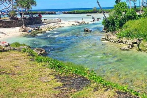 Port Vila: Chocolate Factory, Village, & Waterfall Tour Full Local Lunch Option