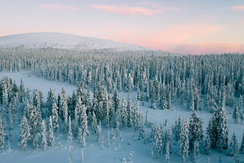 Levi: Snöskovandring i vildmarken