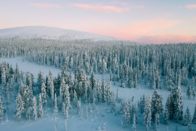 Levi: Snöskovandring i vildmarken