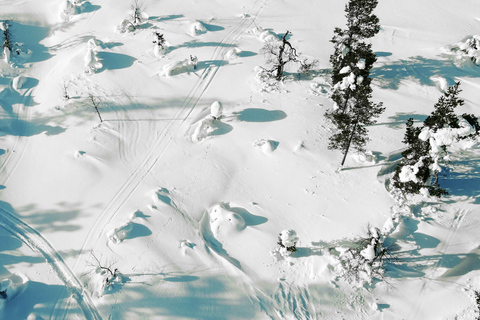 Levi: Snöskovandring i vildmarken