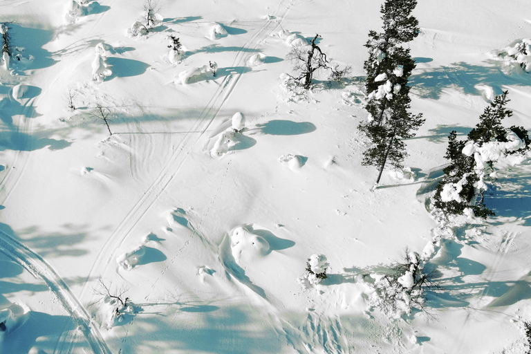 Levi: Sneeuwschoenavontuur in de wildernis