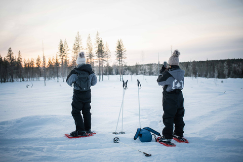 Levi: Snöskovandring i vildmarken