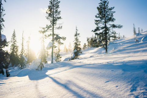 Levi: Snöskovandring i vildmarken