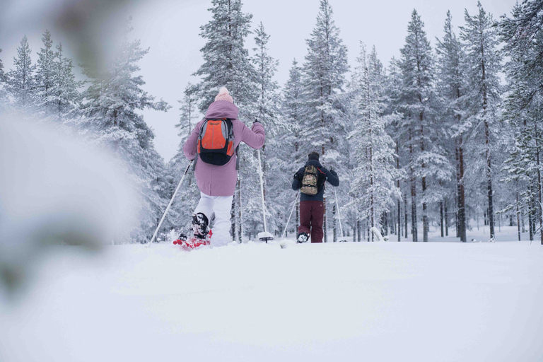 Levi: Aventura con raquetas de nieve en el desierto