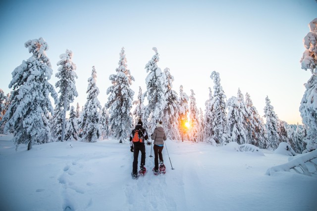 Visit Levi: Snowshoe Adventure in the Wilderness in Levi, Lapland, Finland