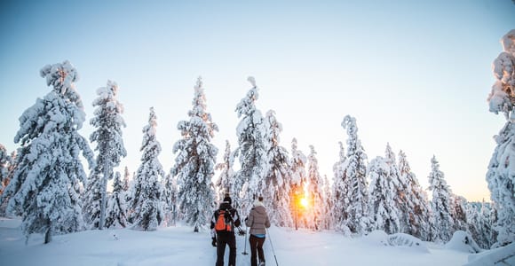 Levi: Snowshoe Adventure in the Wilderness