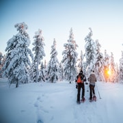 Levi: Snowshoe Adventure in the Wilderness