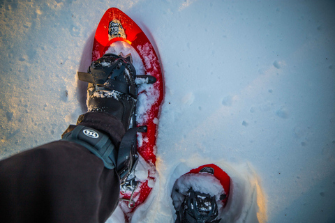 Levi: Snöskovandring i vildmarken