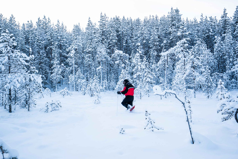 Levi: Snöskovandring i vildmarken