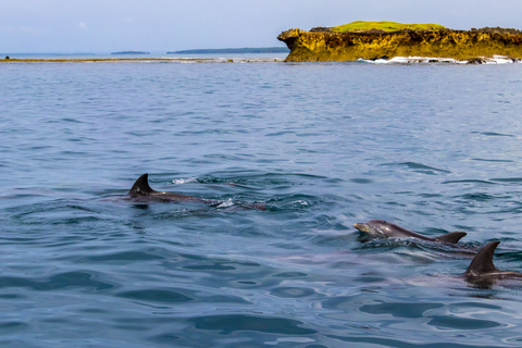 Wasini Island: Dolphin Spot & Snorkel at Kisite Marine Park Departure from Diani & Tiwi