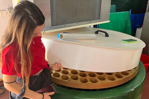 From Athens: Nemea Wine Tour with Corinth Canal Stop