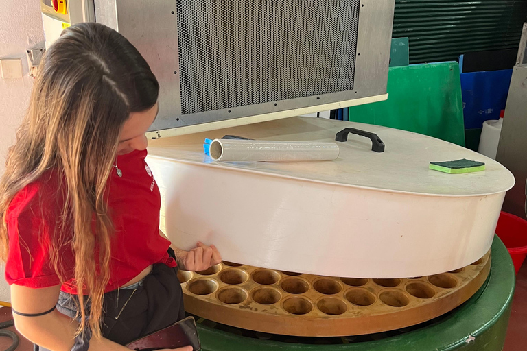 From Athens: Nemea Wine Tour with Corinth Canal Stop