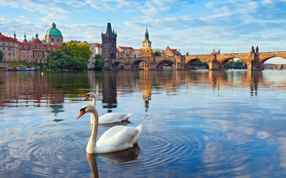 Prag: Private, maßgeschneiderte Tour mit einem lokalen Guide