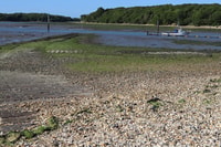 chichester and west sussex photography and Tourist tours - Housity