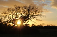 chichester and west sussex photography and Tourist tours - Housity