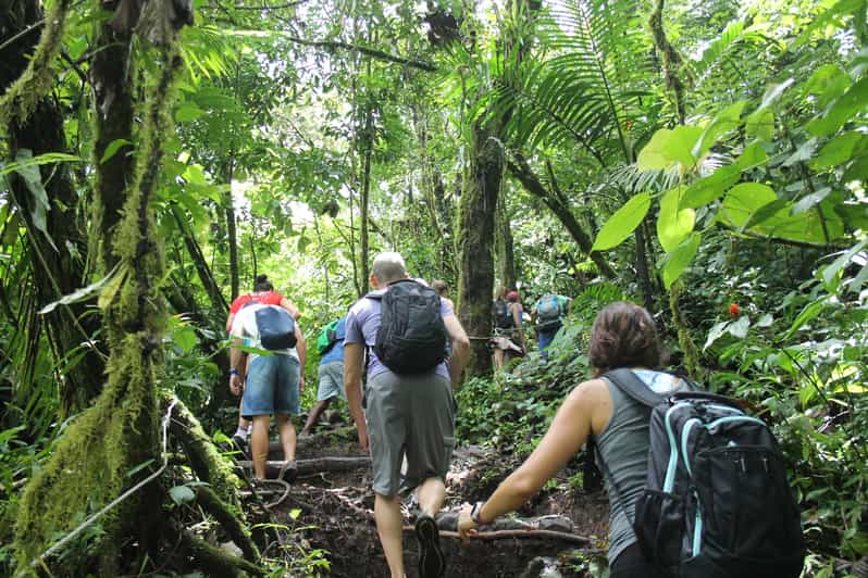 From Fortuna: 2 Day Hike to Monteverde with Hotel Transfer | GetYourGuide