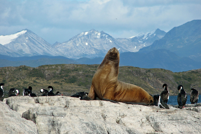 Ushuaia: Navigation through Beagle Channel & Bridges Islands