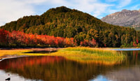 Ushuaia, Beagle Channel, Seal Island & Bridges Islands Tour - Housity