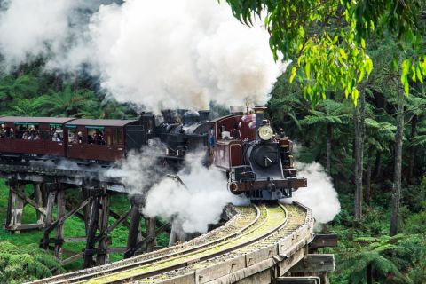 Aus Melbourne: Puffing Billy und Penguin Parade Combo Tour