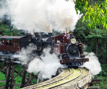 From Melbourne: Puffing Billy and Penguin Parade Combo Tour