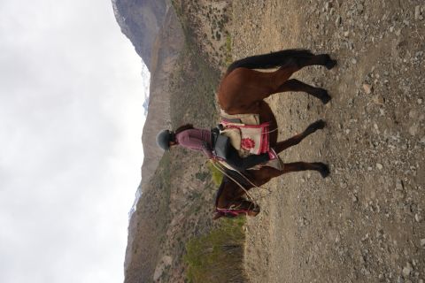 Horseback riding in the middle of Los Andes with Chilean BBQ