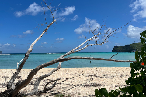 Grand Baie : excursion d'une journée en catamaran sur 3 îles avec déjeunerVisite privée