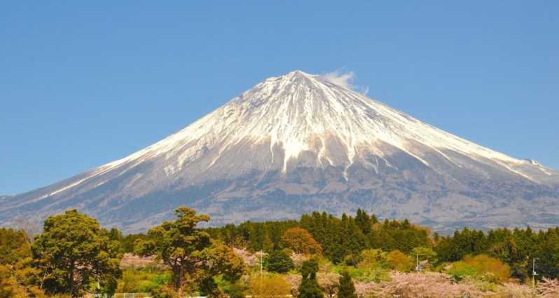 Da Tokyo: tour privato personalizzabile del Monte Fuji di 10 ore