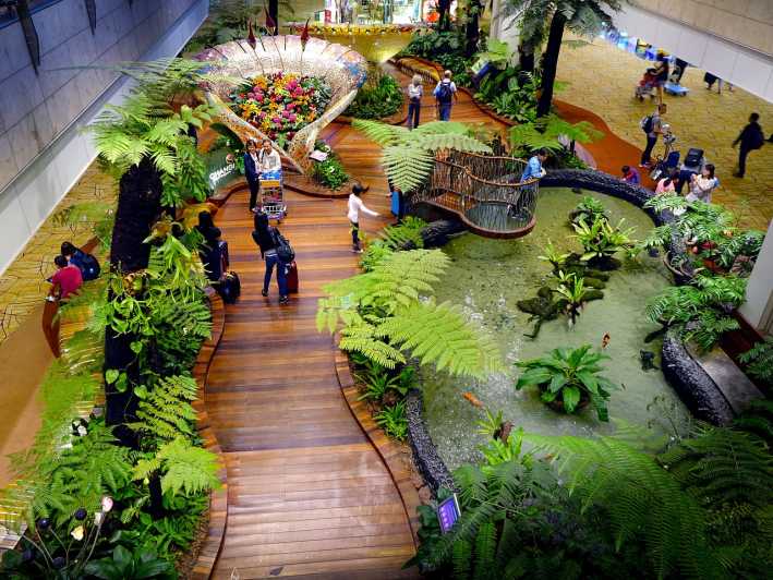 singapore airport guided tour
