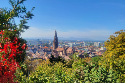 Freiburg - Historisk stadsvandring