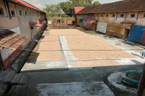 Kochi: Tuk-Tuk-Ausflug mit versteckten SchätzenKochi: Ausflug mit dem Tuk-Tuk zu versteckten Schätzen