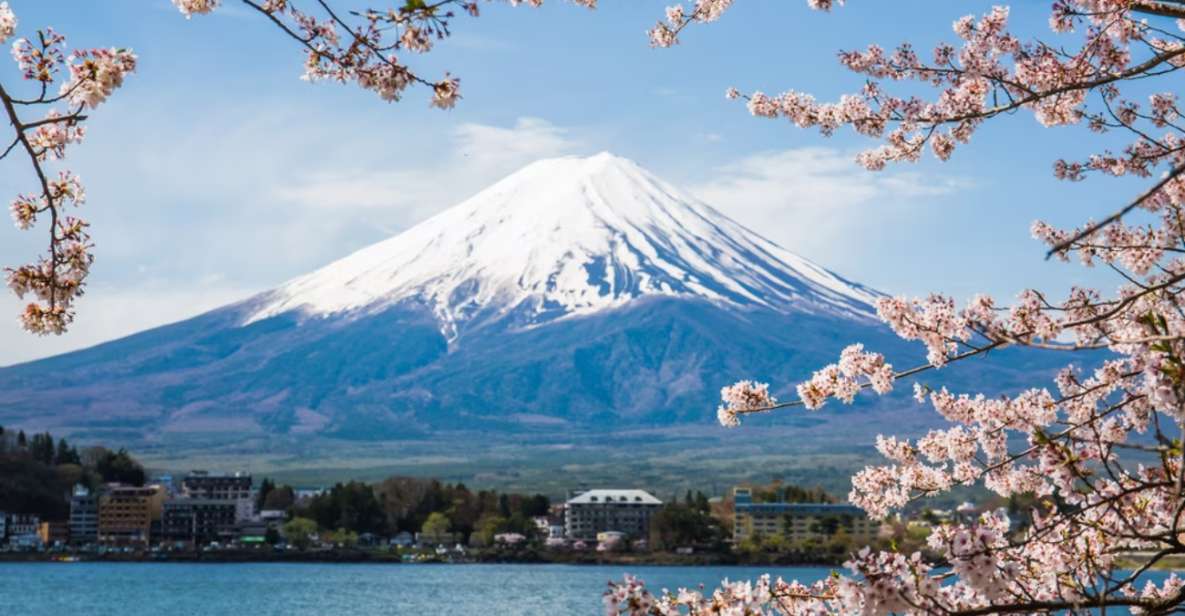 Z Tokio 10 Godzinna Prywatna Wycieczka Na Górę Fuji Getyourguide 8905