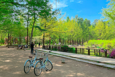 Seúl: Servicio de alquiler de coches privados de medio día/todo el díaCoche privado día completo de Gangwon-do