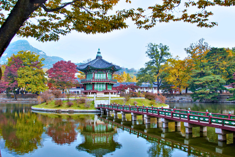 Séoul : Service d'affrètement de voitures privées d'une demi-journée ou d'une journéeJournée entière de visite de Gangwon-do