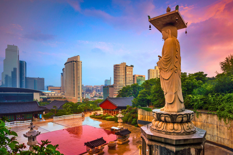 Seoul: Half/Full-Day Private Car Charter Service Half-Day Charter of Seoul City - 5hours