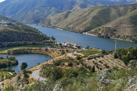 Coucher de soleil sur la vallée du Douro, spectacle en direct, repas de chef, dégustation de vins