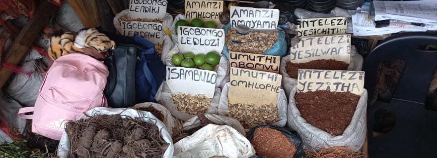 Durban : Marchés locaux et culture : visite guidée à pied