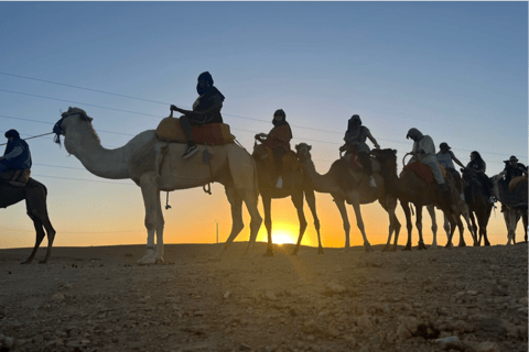 From Marrakech: Camel in Agafay desert