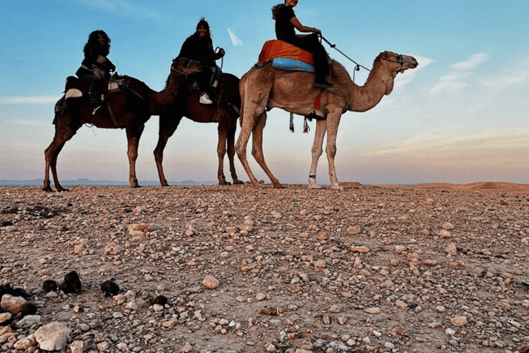 From Marrakech: Camel Ride at Sunset Time in Agafay desertFrom Marrakech: Camel in Agafay desert