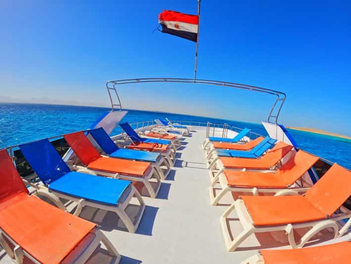 Hurghada Swim With Dolphins 🐬 (VIP) Maximum 10 to 15 Pax. GetYourGuide