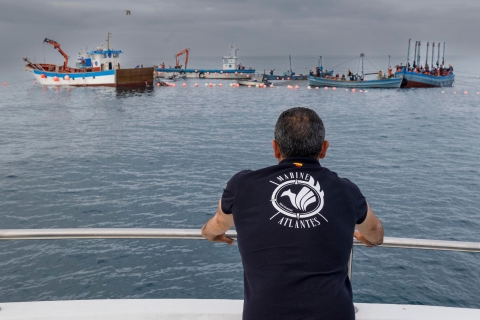 Barbate: Delfin- und Walbeobachtung am Kap Trafalgar