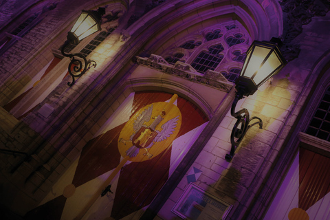 Middelburg: Guided Tour Townhall Middelburg