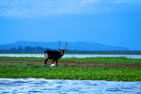 Excursion d'une journée - Hells gate et lac Naivasha depuis Nairobi