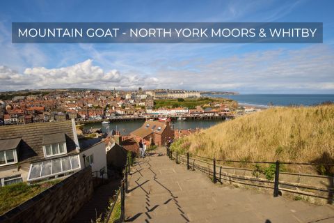 North York Moors e Whitby: tour guidato da York