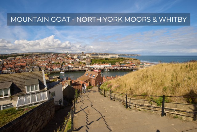 Visit From York North York Moors and Whitby Guided Tour in York