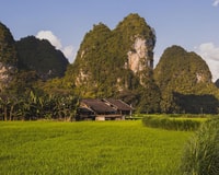 De Hanoi, 3 jours Ba Be Lake & Ban Gioc Falls Visite privée - Hizvo