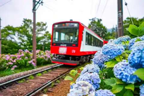 Hakone: Day Tour with Hydrangea Train, Pirate Ship, & Lunch