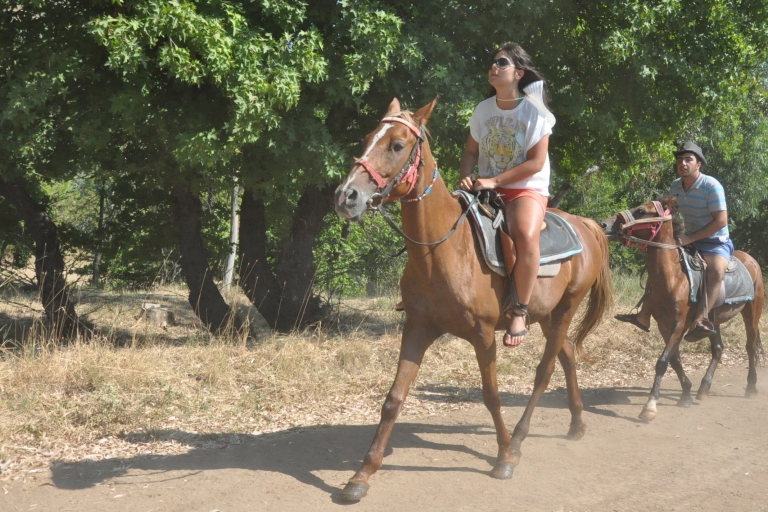 Kusadasi Pferde-Safari