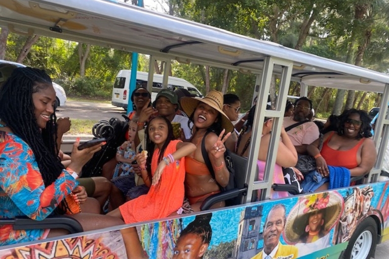Chippies Bahamy Poczuj kulturę TourChippies Bahamas Culture Tour: Zapraszamy. Tak chłopie :-)