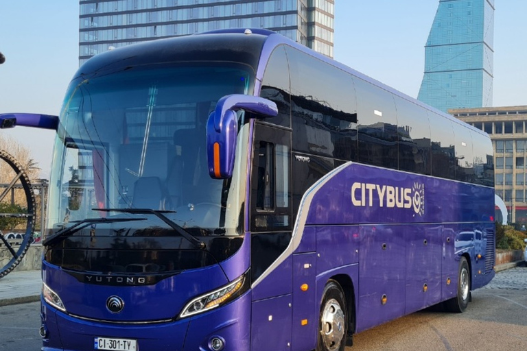 Batumi: Busstransfer till/från Tbilisi1-vägs transfer från Batumi till Tbilisi